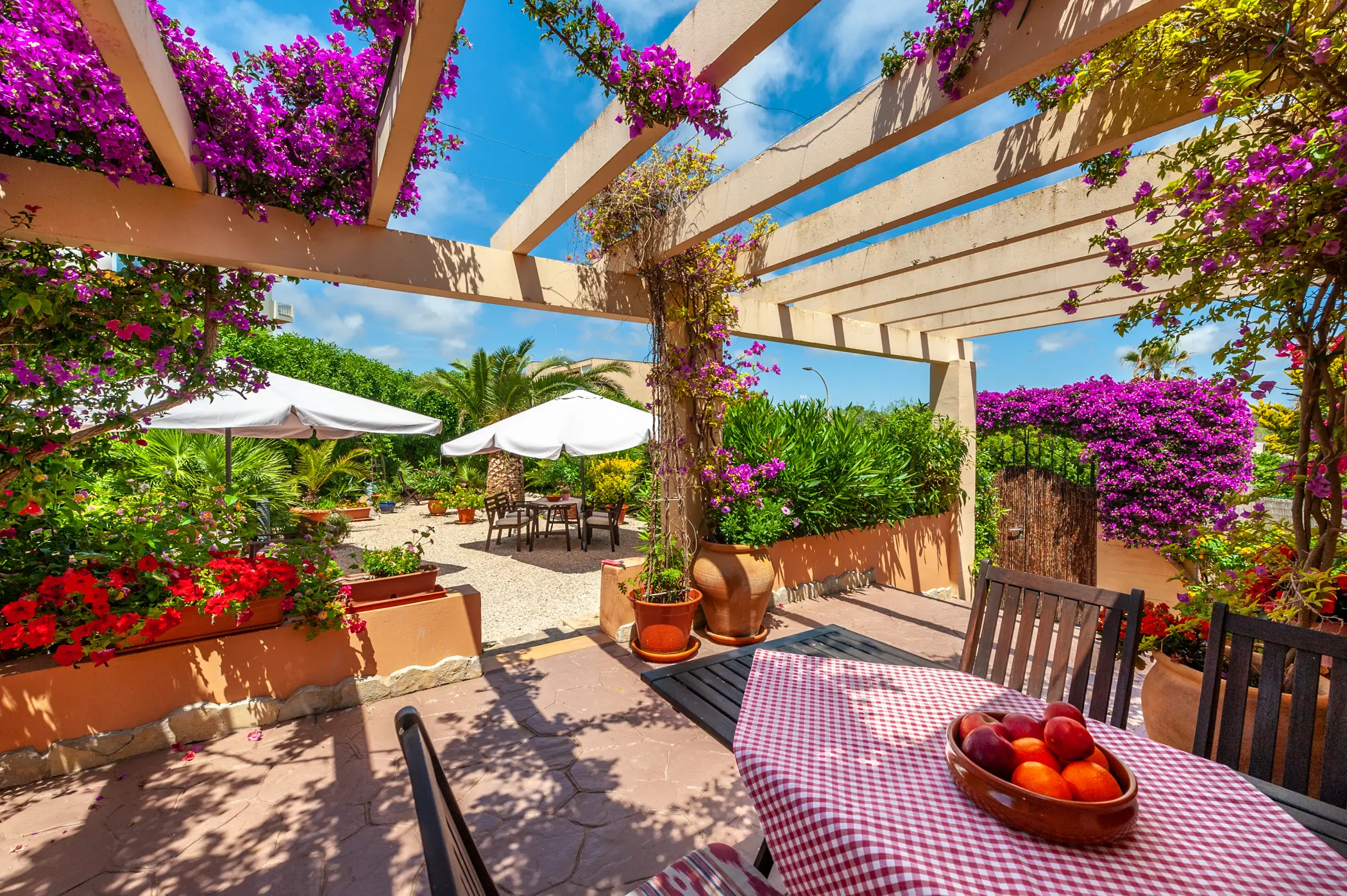 Terrasse unter der Pergola
